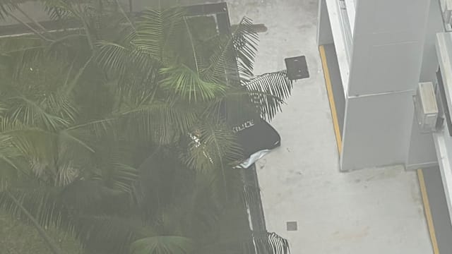 大年初二悲剧  荷兰村七旬老妇坠楼身亡