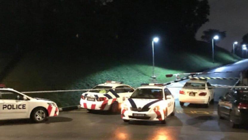 False report of assault by student sparks manhunt at NTU