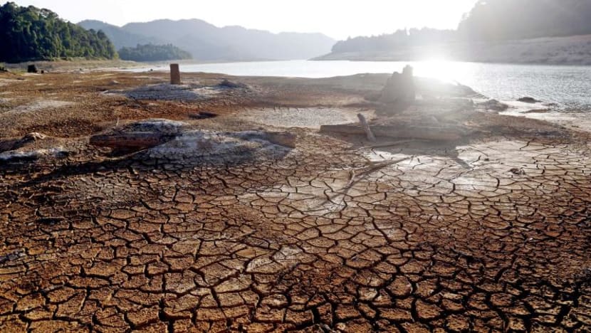 'Significant risk' of Johor’s Linggiu Reservoir drying out this year: Vivian