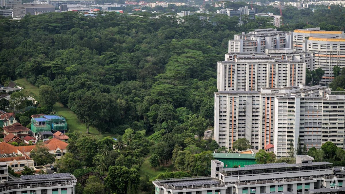 Sunset Way housing plans ‘not final’; HDB says it remains open to feedback