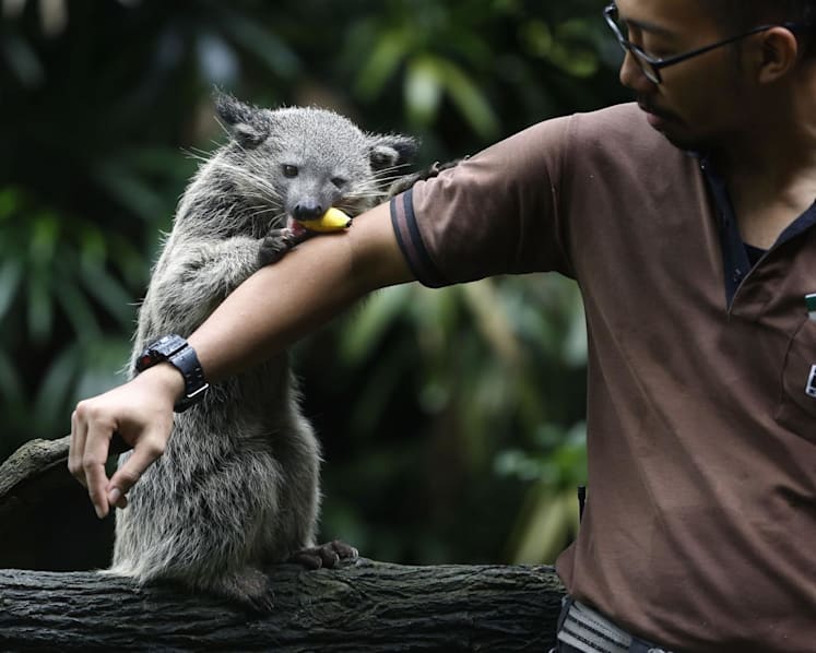 #trending: Zookeeper, museum curator? S'pore Reddit post prompts netizens to muse on unlikely career options