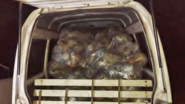 马泰边境截获1050公斤走私榴梿 市值逾8200新元