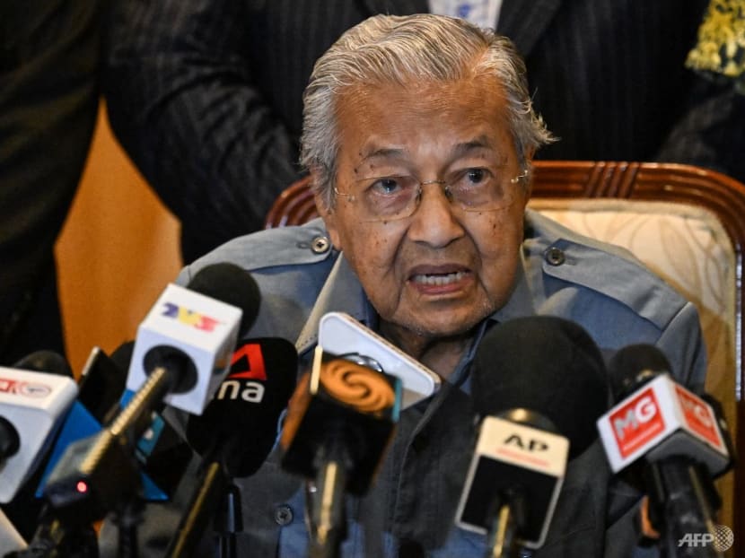 Mahathir&rsquo;s Gerakan Tanah Air unveils Malaysia GE15 candidates; celebrities and activist among line-up