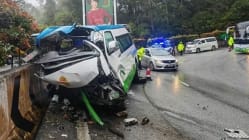 Related article image