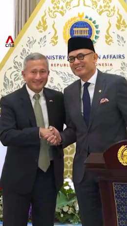 Indonesia-Singapura bentuk satgas untuk selidiki perusahaan terkait karhutla