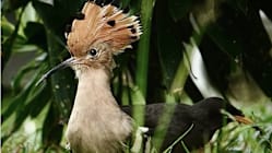 Gambar Pilihan Hari Ini