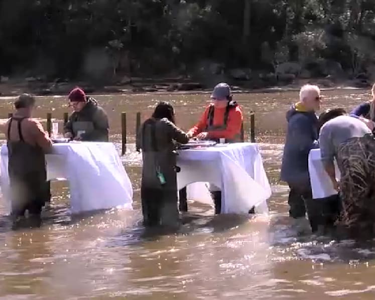Oyster farmers in Australia expand into tourism, offer in-water dining experience to keep industry alive