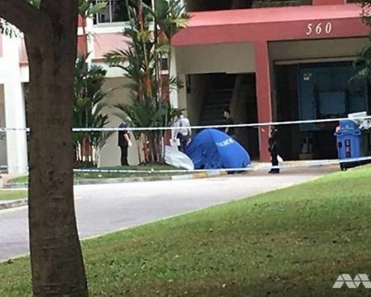 Pasir Ris double deaths: 'Depressed' father was worried about future of autistic daughter