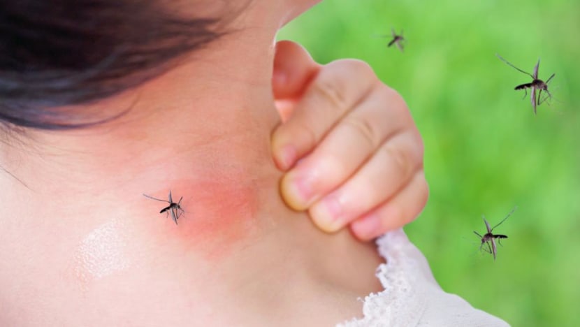 FAQ: Can you get dengue a second time? What you need to know about the disease amid rapidly rising cases FAQ: Can you get dengue a second time? What you need to know about the disease amid rapidly rising cases