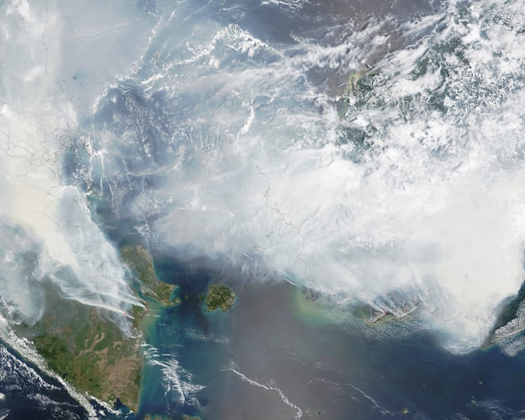 The Big Read: Consumers, NGOs take up fight against haze but it is a long trudge