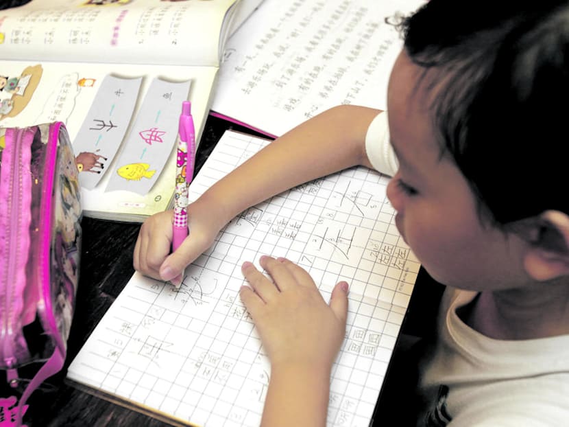 Improving students' proficiency in mother tongues and other languages, for life
