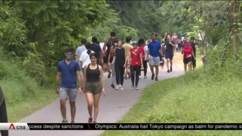 Community group looks into ways to reduce impact of growing footfall at Clementi forest | Video