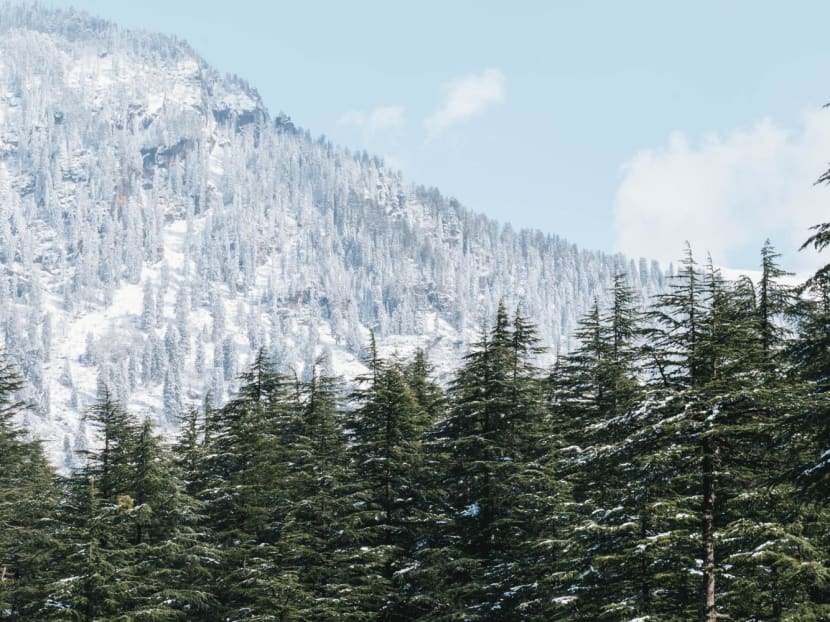 A photo of the Manali Mountains in the Himachal Pradesh region of India.