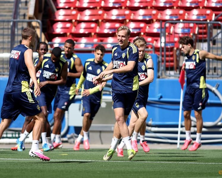Sweden set for Tunisia showdown after rocky road to World Cup
