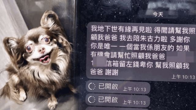自责爱犬被车撞死 港男托朋友照顾中风父后随它去