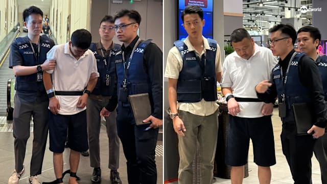 涉嫌在商场和景点偷窃 两名中国籍嫌犯押回现场重组案情