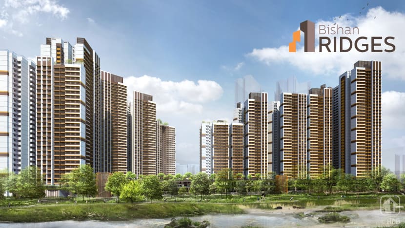 Glitches on HDB’s website on sale of BTO flats launch day, work in progress to resolve issues