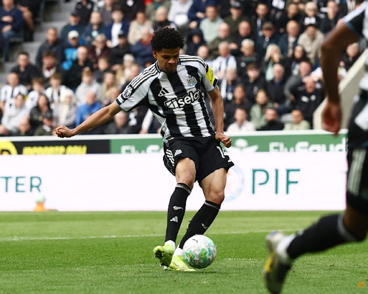 Relegation looming for sloppy West Ham after 3-1 defeat by Newcastle