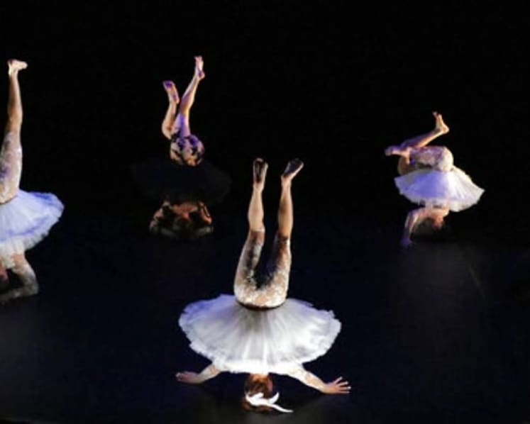 World's top circus festival adapts to COVID-19 rules