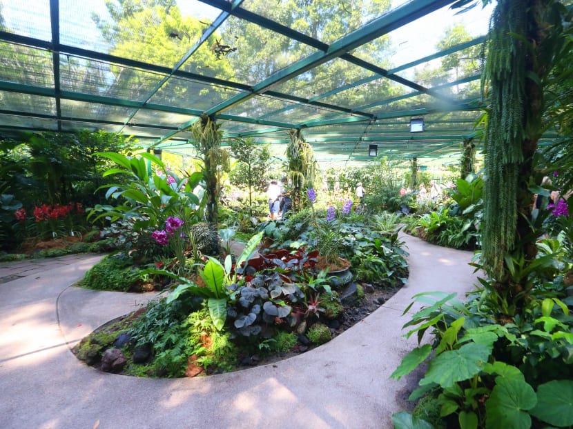 More enhancements to National Orchid Garden underway