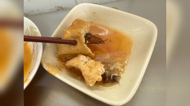 台湾民众夜市吃油豆腐 一口咬下发现夹着蟑螂