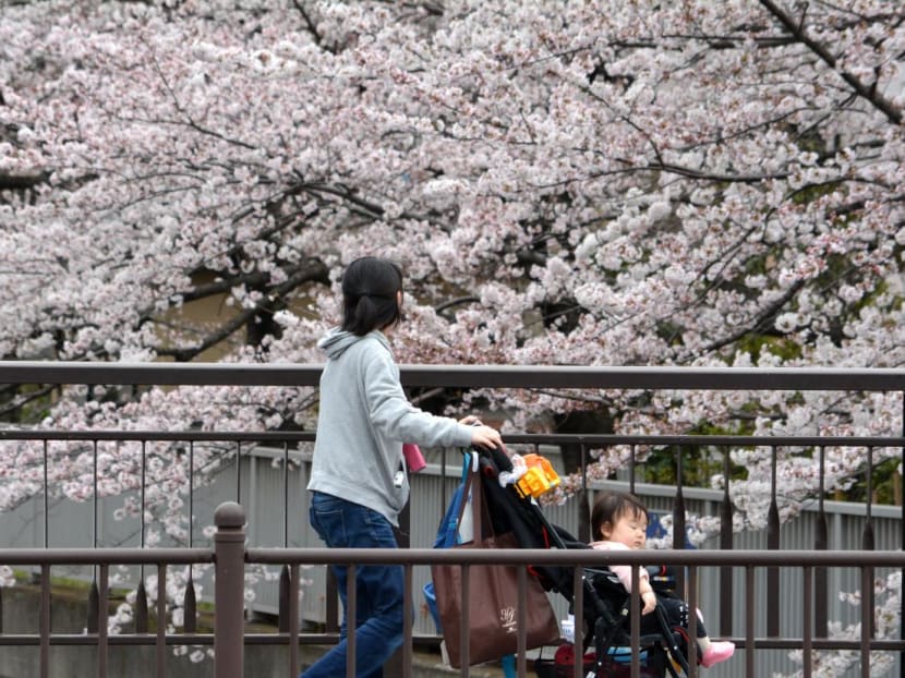 A woman pushes a baby in a stroller as she walks past cherry blossoms trees in full bloom in Tokyo on March 29, 2015. A woman pushes a baby in a stroller as she walks past cherry blossoms trees in full bloom in Tokyo on March 29, 2015.