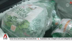 Malaysia imports halal-certified turkeys from Russia