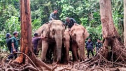 Related article image