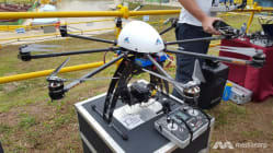 Related article image