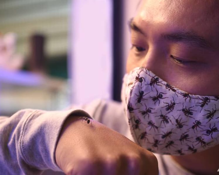 ‘It started from a hobby’: Meet the ant collector who left his job to open an ant shop