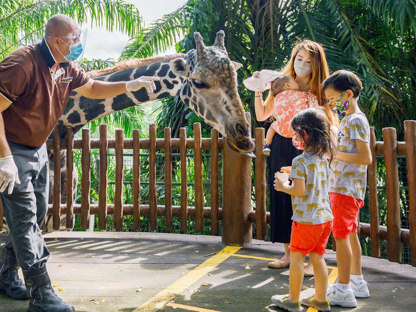 zoo 