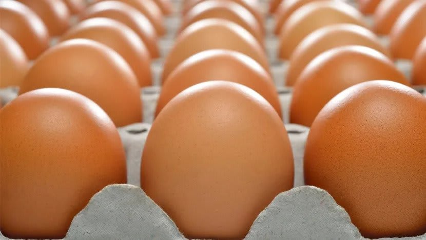 Singapore to start importing eggs from Indonesia