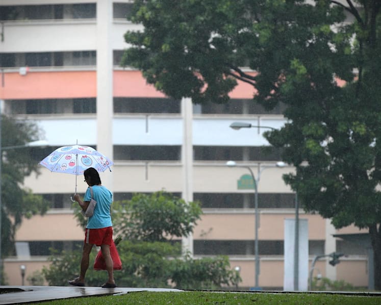 Showers bring respite from haze with more rain expected in coming days: NEA
