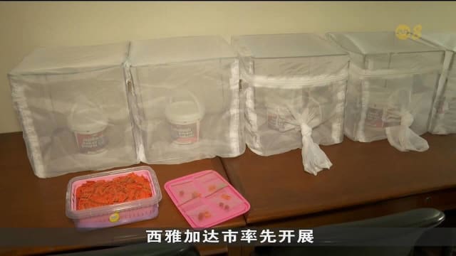 印尼推行方案遏制骨痛热症 但因谣言等面对阻碍