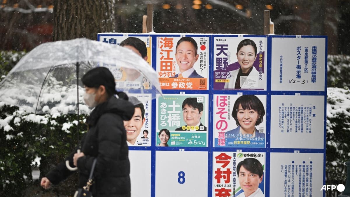 Japan elects fewer women MPs in snap election