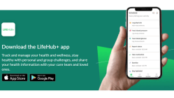 Related article image