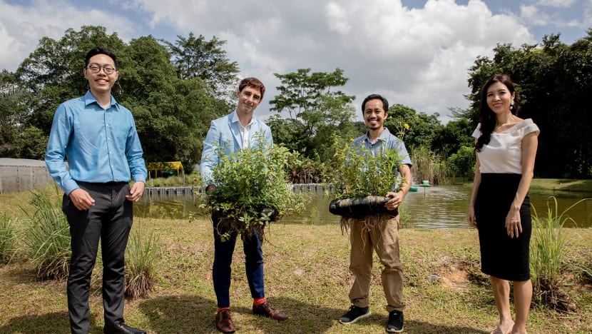 NUS alumni use plastic and glass waste to make floating garden of edible plants