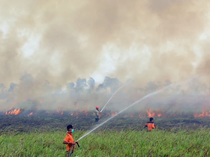 In this Sept 5, 2015, file photo, firemen spray water to contain burning wildfire in Ogan Ilir, South Sumatra, Indonesia. Photo: AFP In this Sept 5, 2015, file photo, firemen spray water to contain burning wildfire in Ogan Ilir, South Sumatra, Indonesia. Photo: AFP