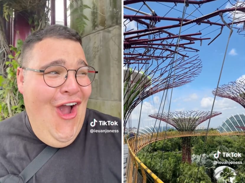 British TikTok influencer Ieuan Jones has charmed Singaporeans with a heartwarming vlog of his excitement at Gardens by the Bay, which he said was a long-time bucket list item for him. British TikTok influencer Ieuan Jones has charmed Singaporeans with a heartwarming vlog of his excitement at Gardens by the Bay, which he said was a long-time bucket list item for him.
