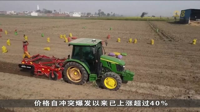 专家警告中东战事恐引发全球粮食危机