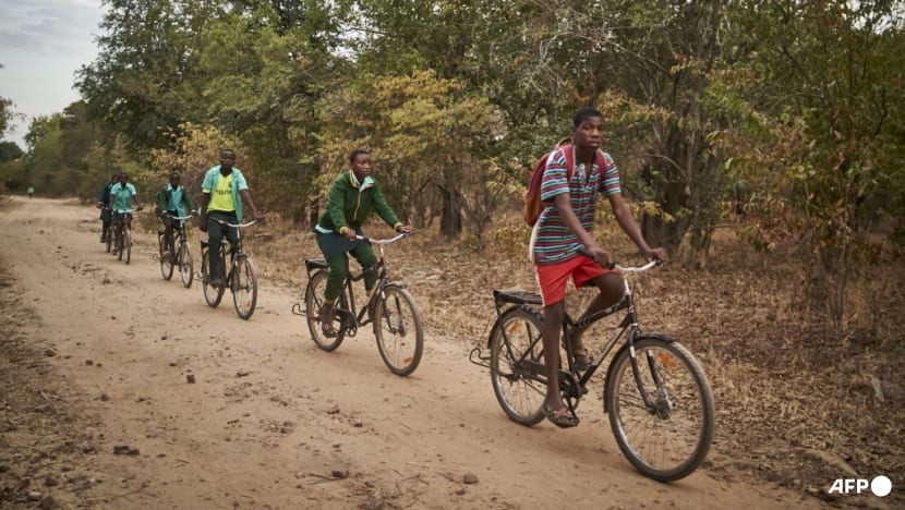 Commentary: Are carbon credits a growing ‘lemon’ problem? 