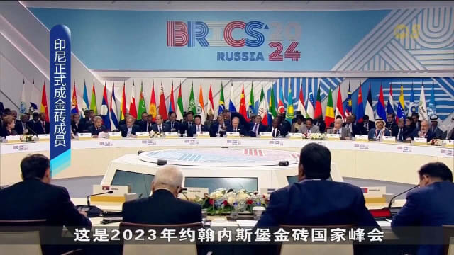 印尼正式加入金砖国家 成为成员国之一