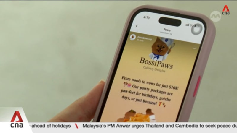 Police investigating allegations against pet food business Bossipaws for alleged SkillsFuture scam