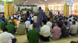 Related article image