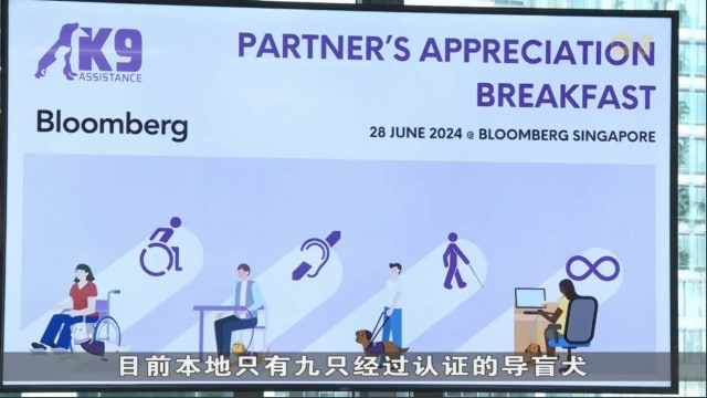 我国将允许残障人士使用辅助犬 范围也将扩大至公共区域