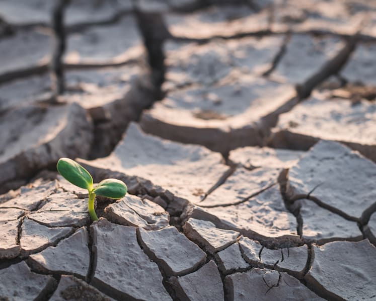 COP27: 7 reasons why Egypt’s climate conference matters in the fight against global warming