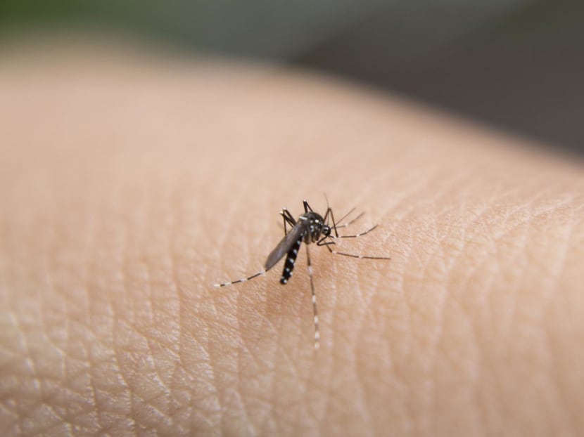 Boon Lay Place monitored for Zika transmission after 1 case in December, 'persistent viral signals' in area Boon Lay Place monitored for Zika transmission after 1 case in December, 'persistent viral signals' in area