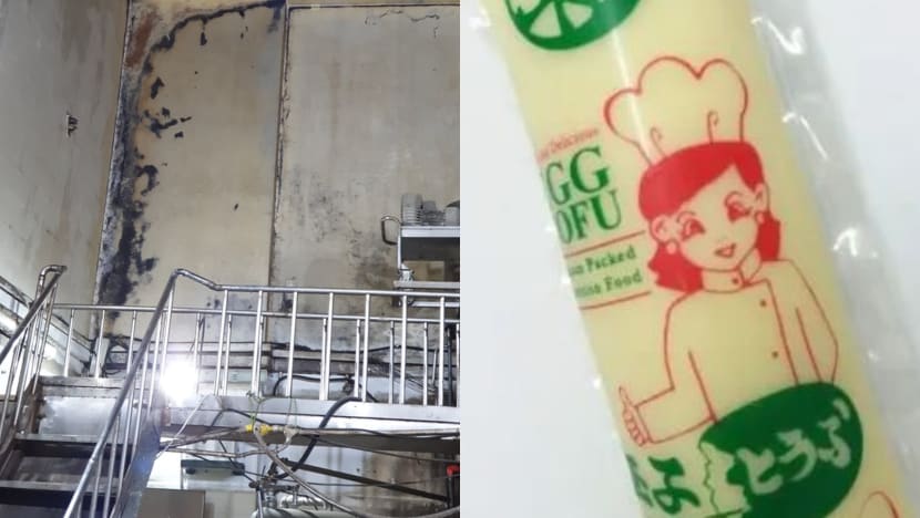 Tofu manufacturer fined for hygiene lapses including 'widespread' cockroach infestation