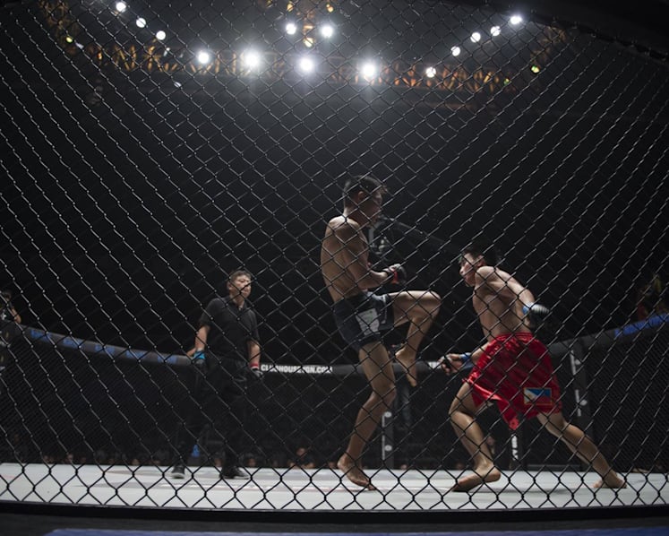 Economic Development Board in touch with ONE Championship after layoffs