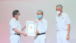 Related article image